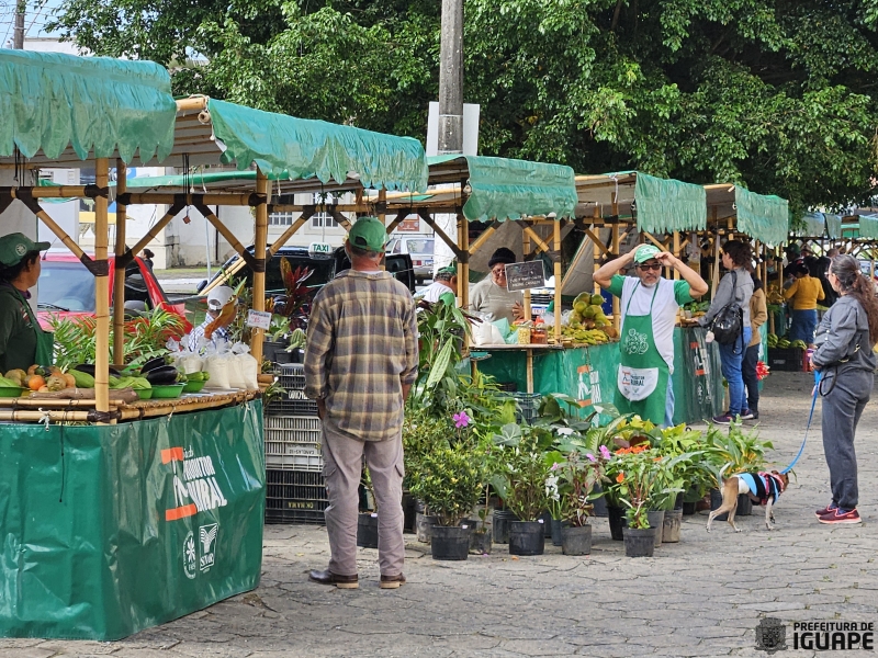 Turismo feira-do-produtor